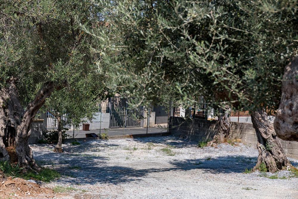 B&B Il Feudo Cirella Luaran gambar